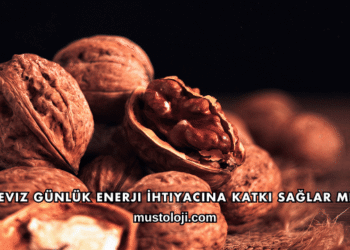 Ceviz Günlük Enerji İhtiyacına Katkı Sağlar mı