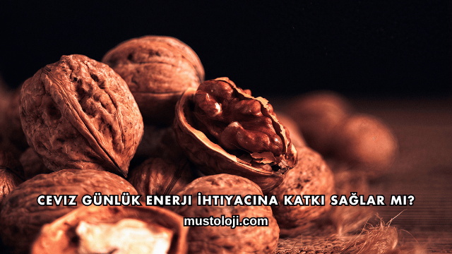 Ceviz Günlük Enerji İhtiyacına Katkı Sağlar mı