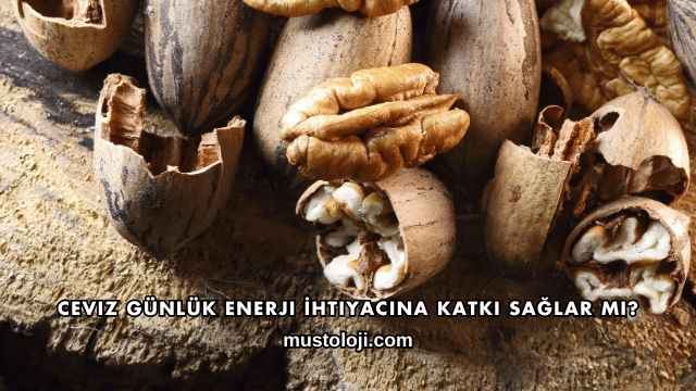 Ceviz Günlük Enerji İhtiyacına Katkı Sağlar mı