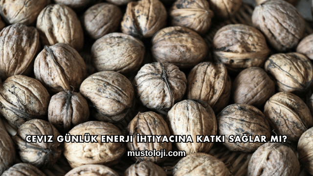 Ceviz Günlük Enerji İhtiyacına Katkı Sağlar mı