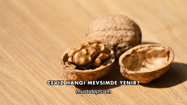 Ceviz Hangi Mevsimde Yenir?