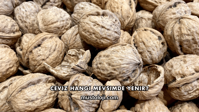 Ceviz Hangi Mevsimde Yenir?