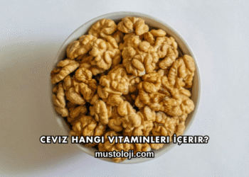 Ceviz Hangi Vitaminleri İçerir?