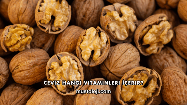 Ceviz Hangi Vitaminleri İçerir?
