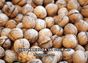 Ceviz Kabızlığa İyi Gelir mi?