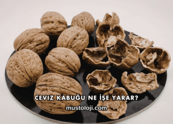 Ceviz Kabuğu Ne İşe Yarar?