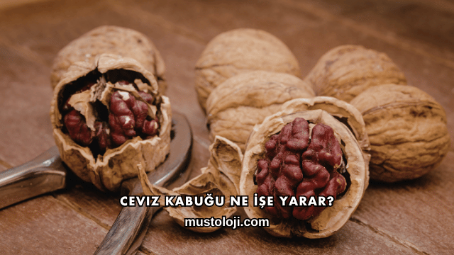 Ceviz Kabuğu Ne İşe Yarar?