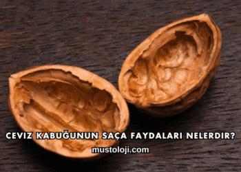 Ceviz Kabuğunun Saça Faydaları Nelerdir?