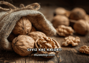 Ceviz Kaç Kalori?