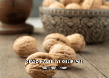 Ceviz Kalbe İyi Gelir mi?
