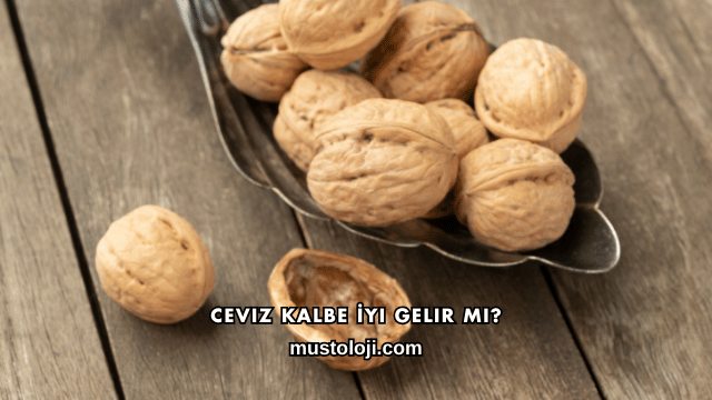 Ceviz Kalbe İyi Gelir mi?