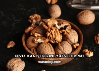 Ceviz Kan Şekerini Yükseltir mi?