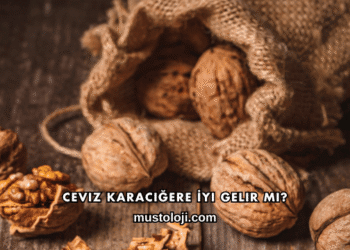 Ceviz Karaciğere İyi Gelir mi?