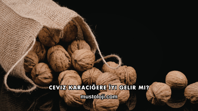 Ceviz Karaciğere İyi Gelir mi?