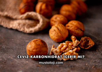 Ceviz Karbonhidrat İçerir mi?