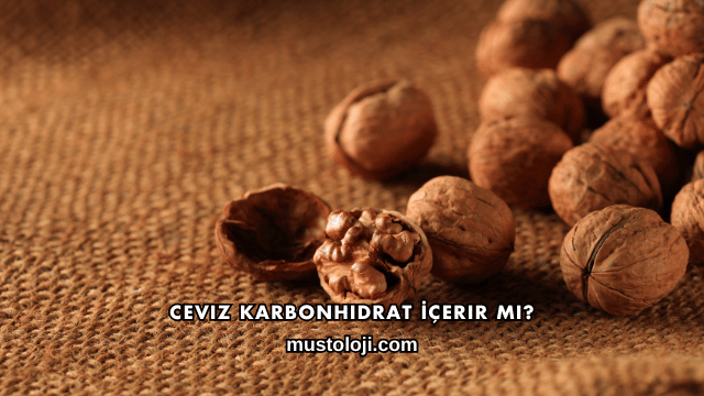Ceviz Karbonhidrat İçerir mi?