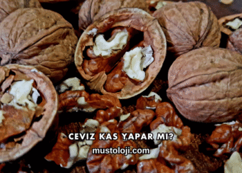 Ceviz Kas Yapar mı?