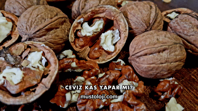 Ceviz Kas Yapar mı?