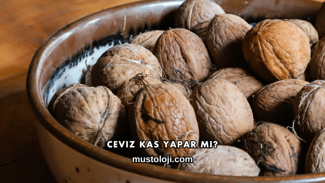 Ceviz Kas Yapar mı?