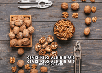 Ceviz Kilo Aldırır mı?
