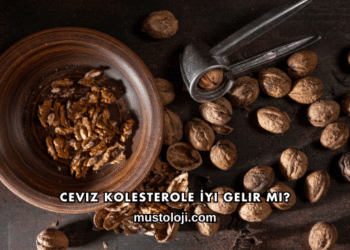 Ceviz Kolesterole İyi Gelir mi?