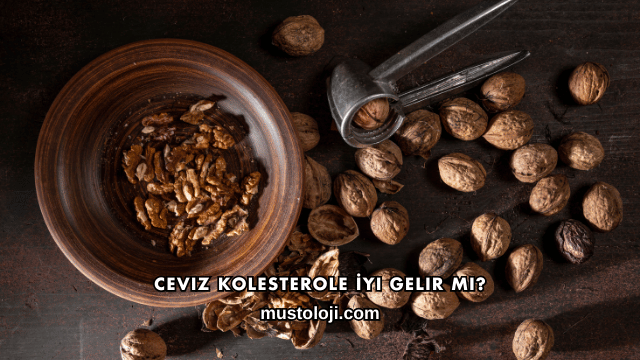 Ceviz Kolesterole İyi Gelir mi?