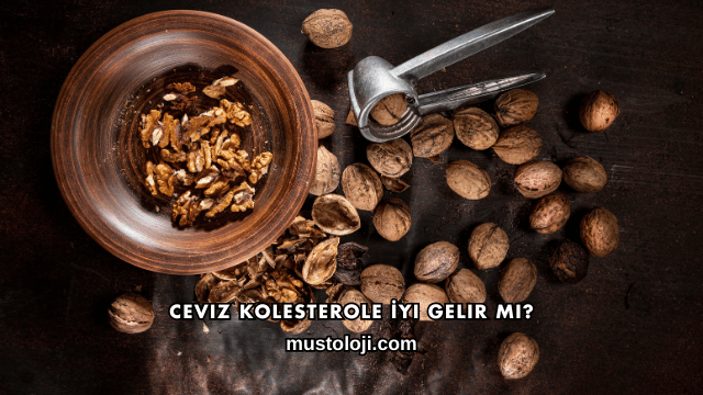 Ceviz Kolesterole İyi Gelir mi?