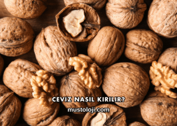 Ceviz Nasıl Kırılır?
