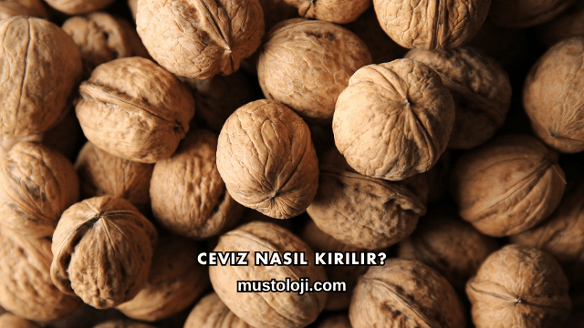 Ceviz Nasıl Kırılır?