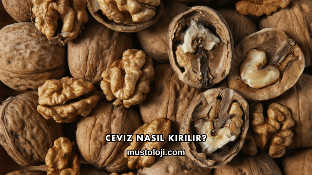 Ceviz Nasıl Kırılır?