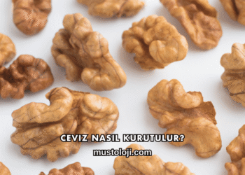 Ceviz Nasıl Kurutulur?
