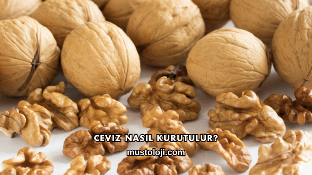 Ceviz Nasıl Kurutulur?