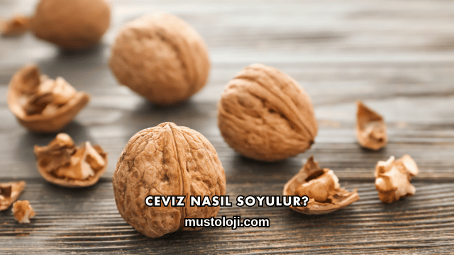 Ceviz Nasıl Soyulur?