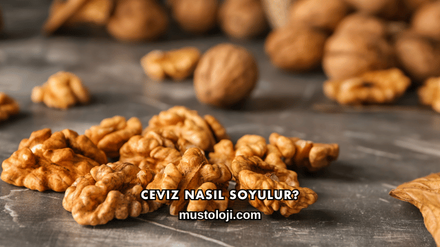 Ceviz Nasıl Soyulur?