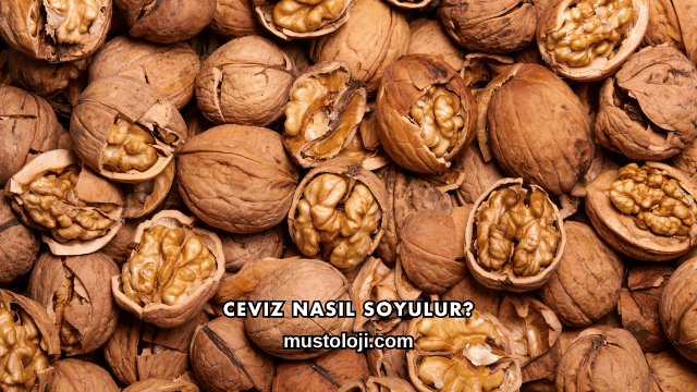 Ceviz Nasıl Soyulur?