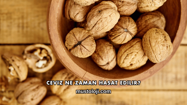 Ceviz Ne Zaman Hasat Edilir?