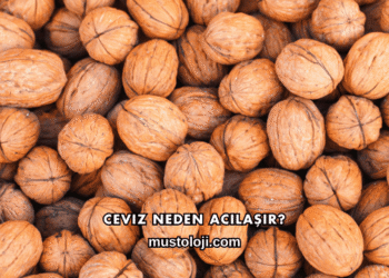 Ceviz Neden Acılaşır?