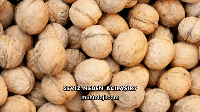 Ceviz Neden Acılaşır?