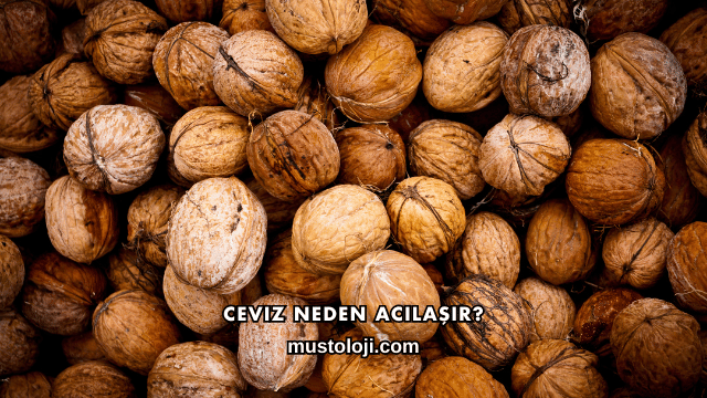 Ceviz Neden Acılaşır?