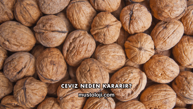 Ceviz Neden Kararır?