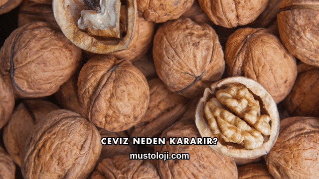 Ceviz Neden Kararır?