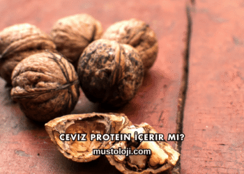 Ceviz Protein İçerir mi?