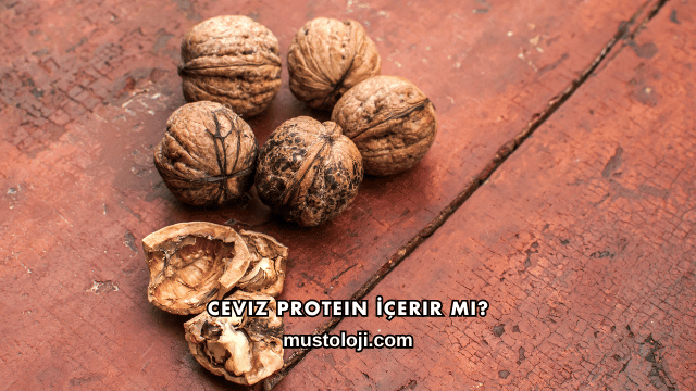 Ceviz Protein İçerir mi?