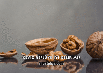 Ceviz Reflüye İyi Gelir mi?
