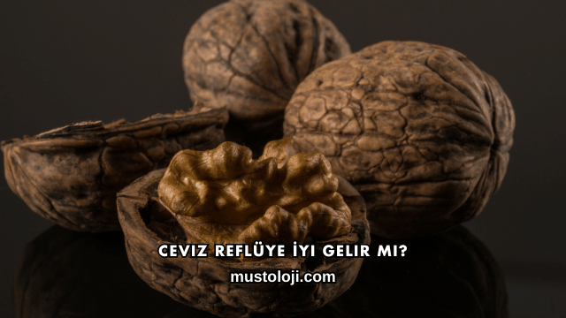 Ceviz Reflüye İyi Gelir mi?