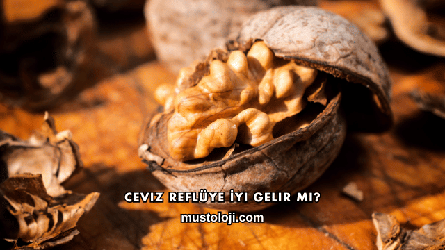 Ceviz Reflüye İyi Gelir mi?
