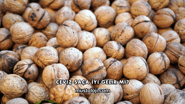 Ceviz Saça İyi Gelir mi?