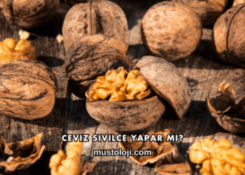 Ceviz Sivilce Yapar mı?