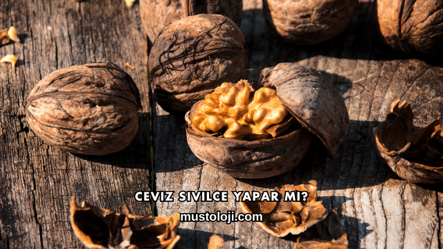 Ceviz Sivilce Yapar mı?