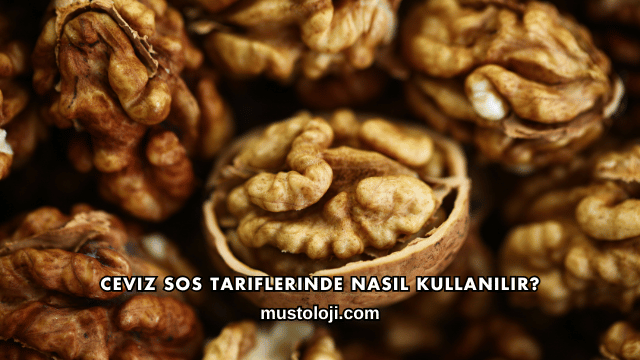 Ceviz Sos Tariflerinde Nasıl Kullanılır